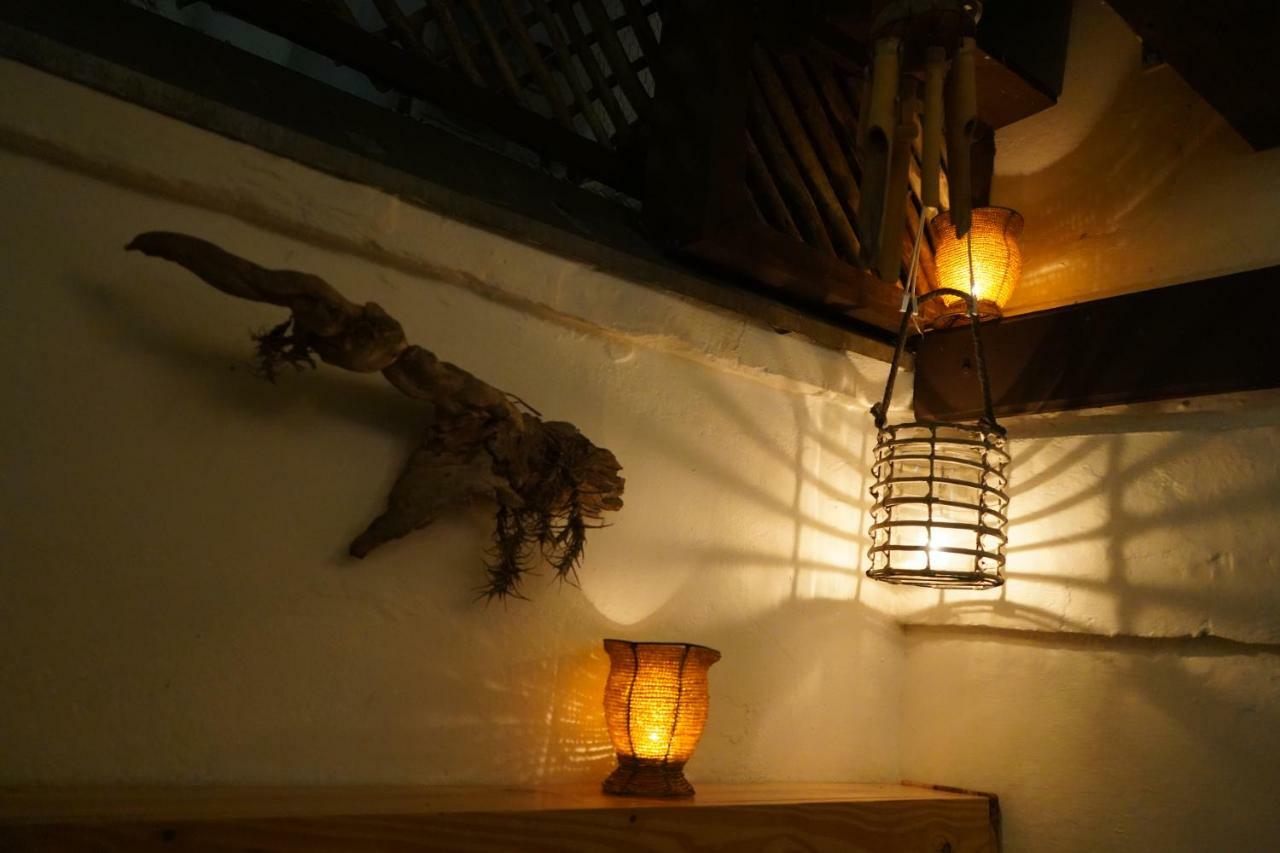 Urban Hive Backpackers Hostel *